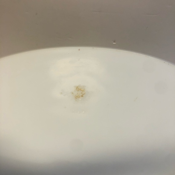 Vintage 1960s Pyrex Jaj Lidded Oval Casserole Dish Vegetable Pattern - Picture 8 of 16